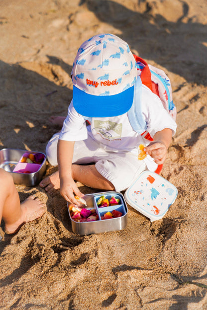 Meowtiful Cats Stainless Steel Insulated Water Bottle for Children