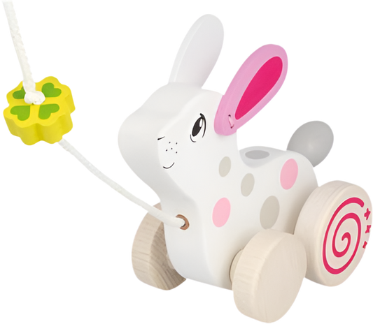 Animal to pull - Rabbit