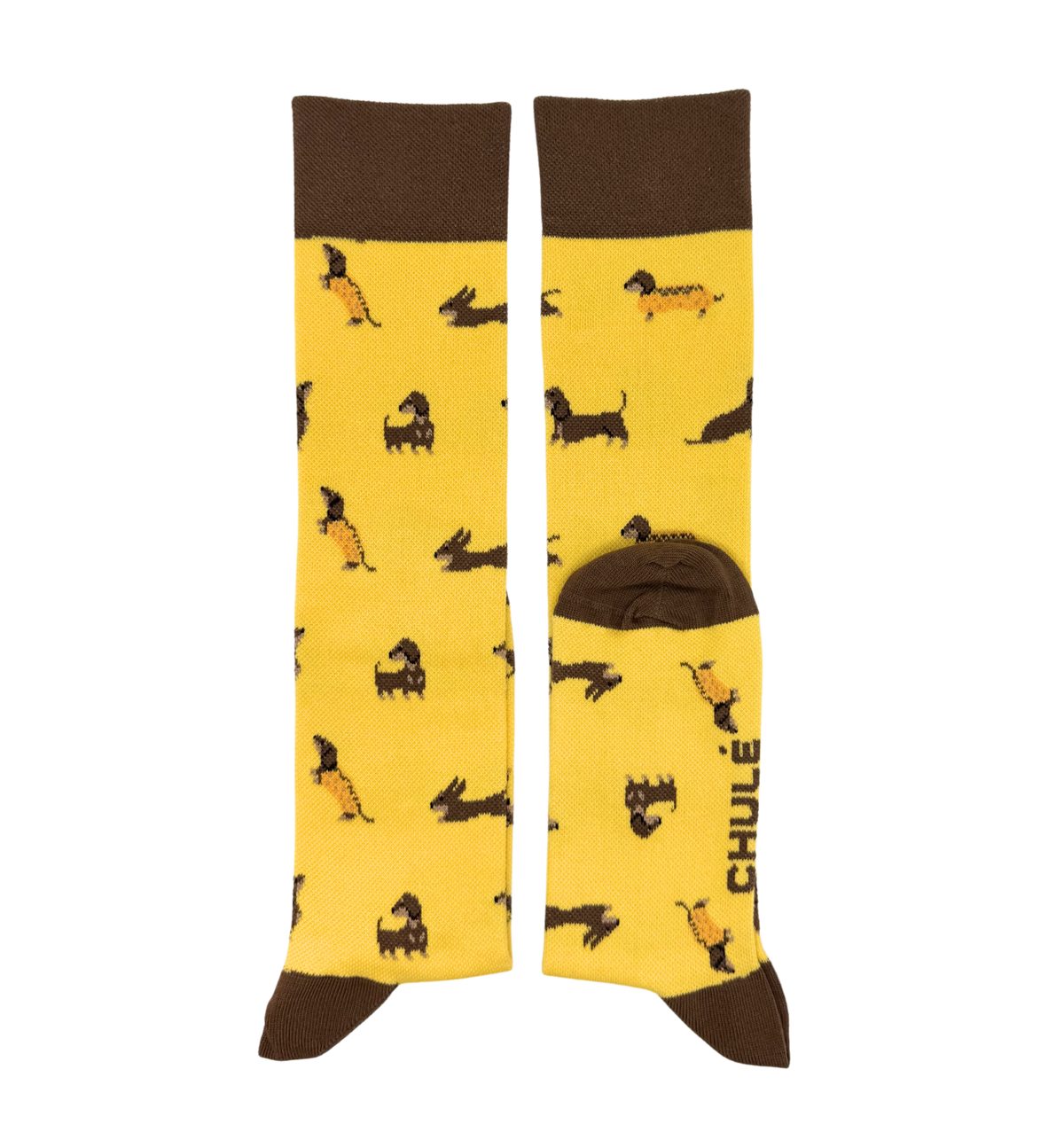 Chaussettes de Compression « Kiko – Chien Teckel »