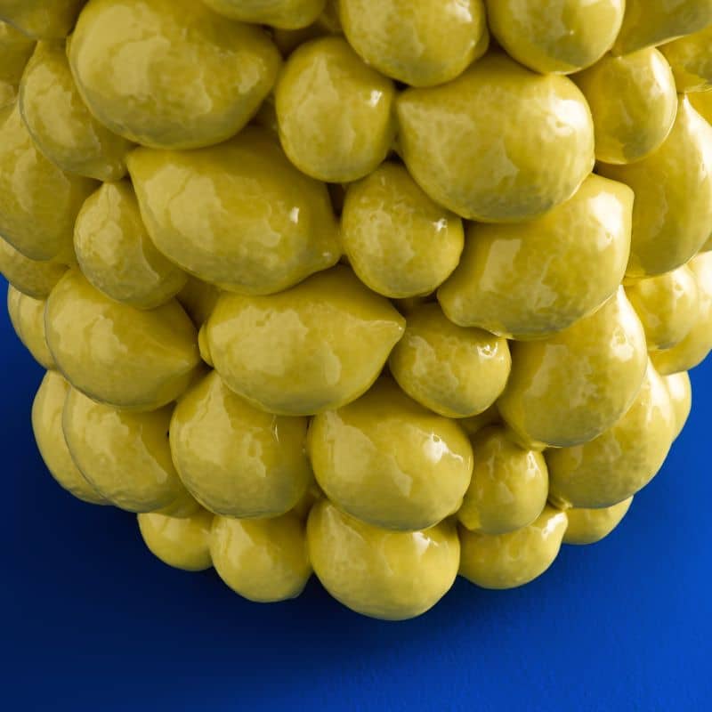 Yellow Lemon Vase