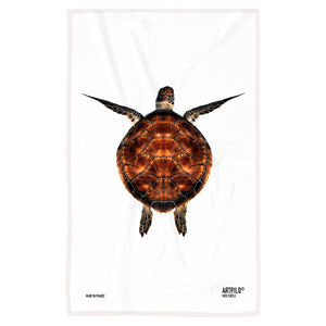 Canovaccio Miss Turtle