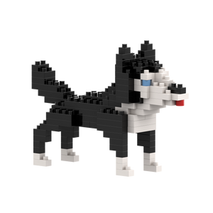 BRIXIES Husky