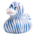 Pato cebra - Azul