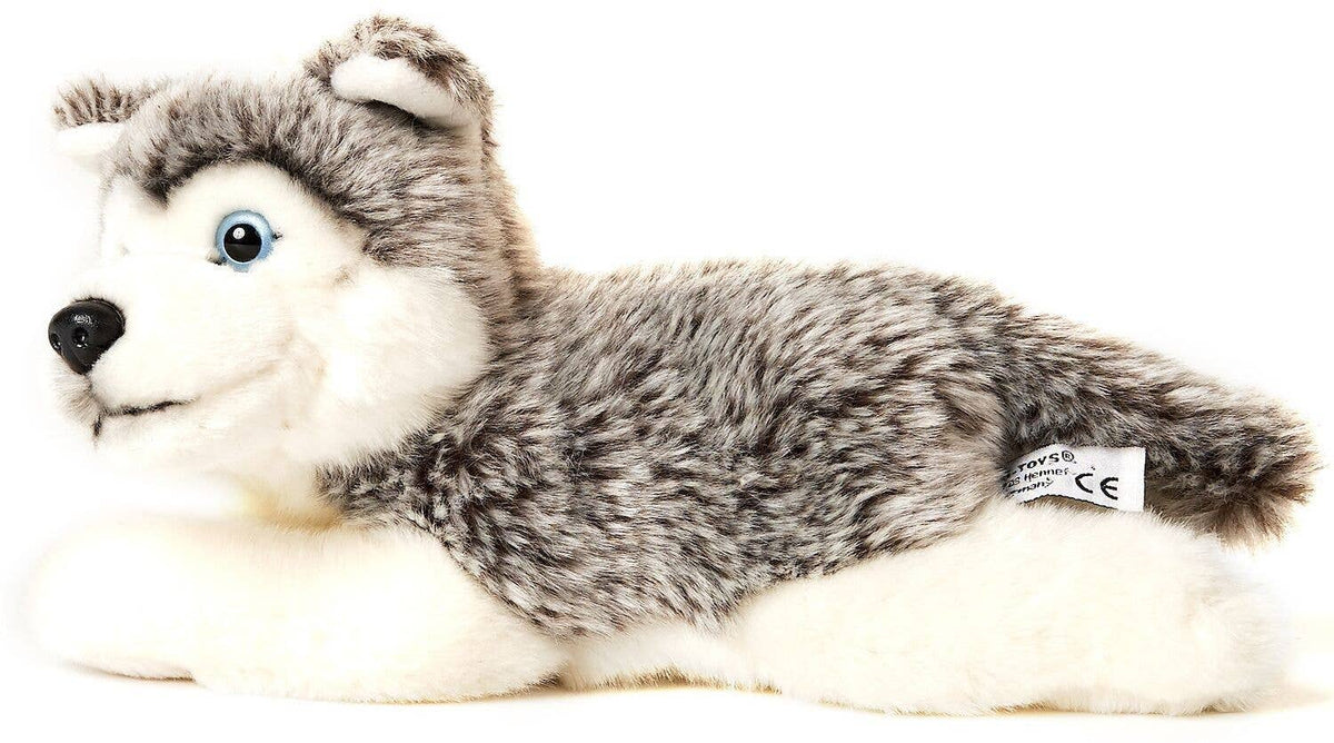 ハスキーの子犬のぬいぐるみ、灰色、伏せているもの
