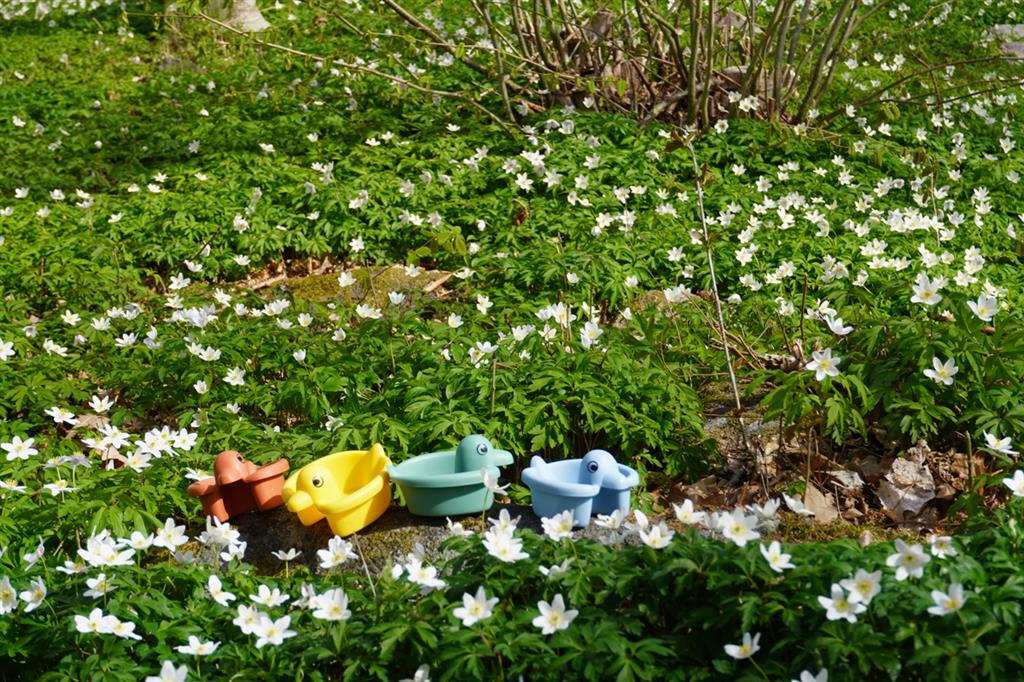 Re:line Barcos de pato