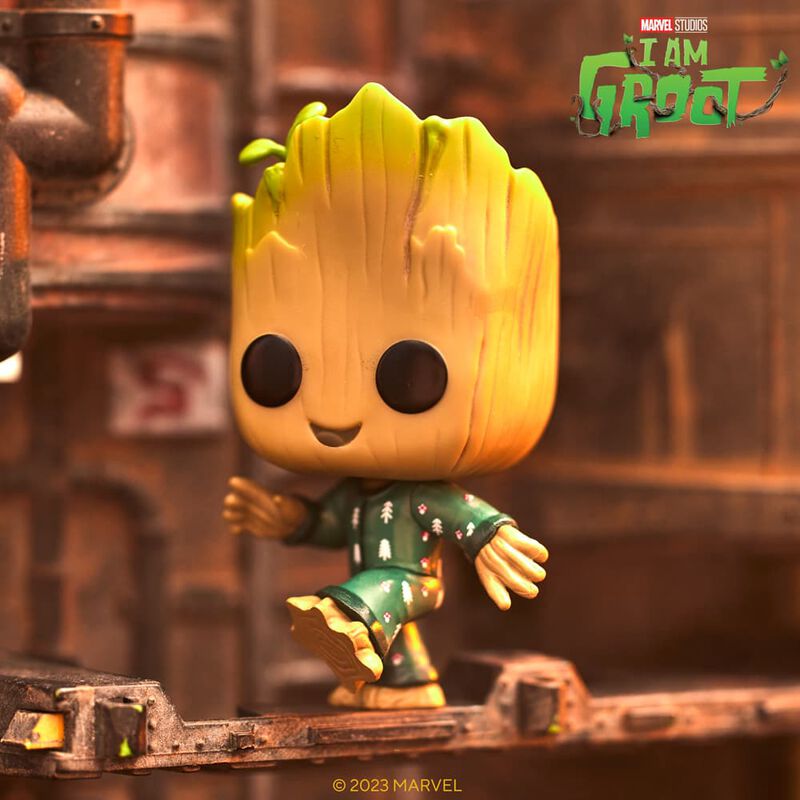 Groot PJ (Baile)