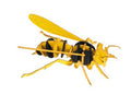 3Dペーパーモデル - Frelon