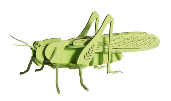 3D-papieren model - Sprinkhaan