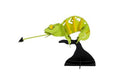 3D Paper Model - Caméléon