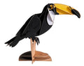 Modelo de Papel 3D - Toucan