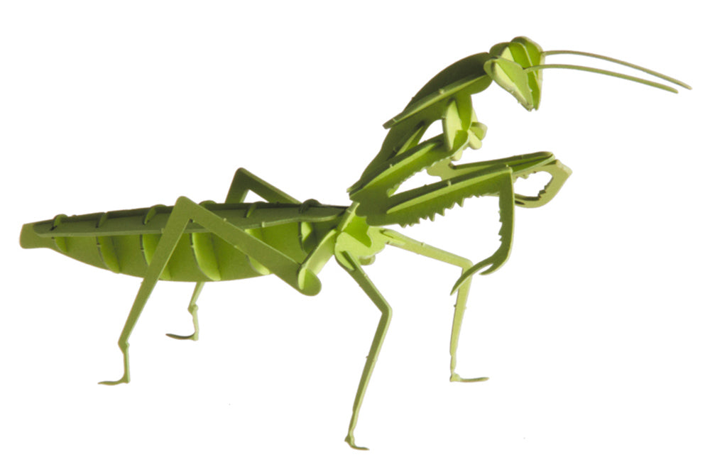 Modelo de Papel 3D - Prince Priant