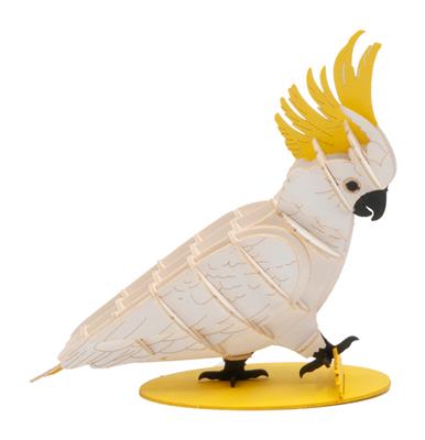 Cacatua