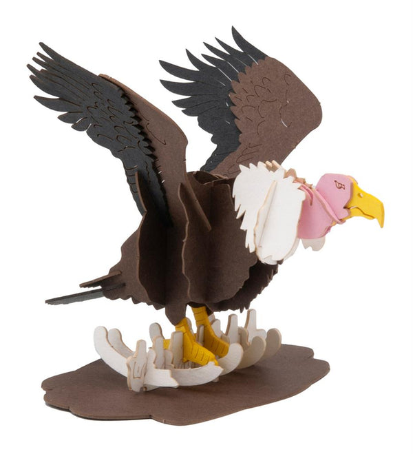 3D Paper Model - White Vulture