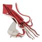 3D Paper Model - Squid