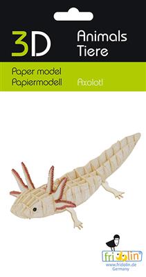 Modèle en Papier 3D - Axolotl