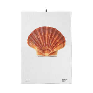 Canovaccio Jacques the Shell