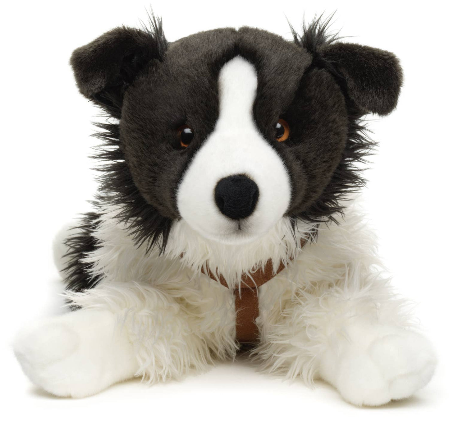 Plush Border Collie
