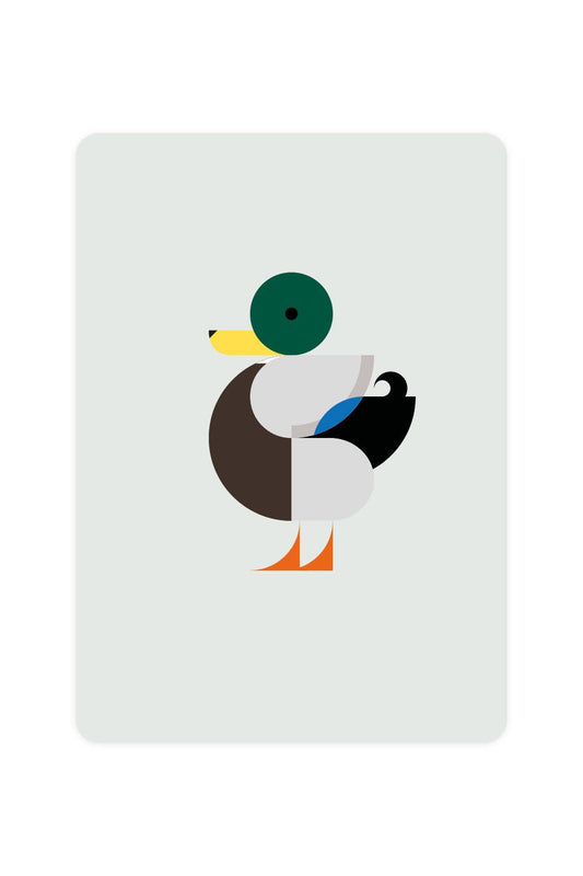 Carte postale avec Canard colvert