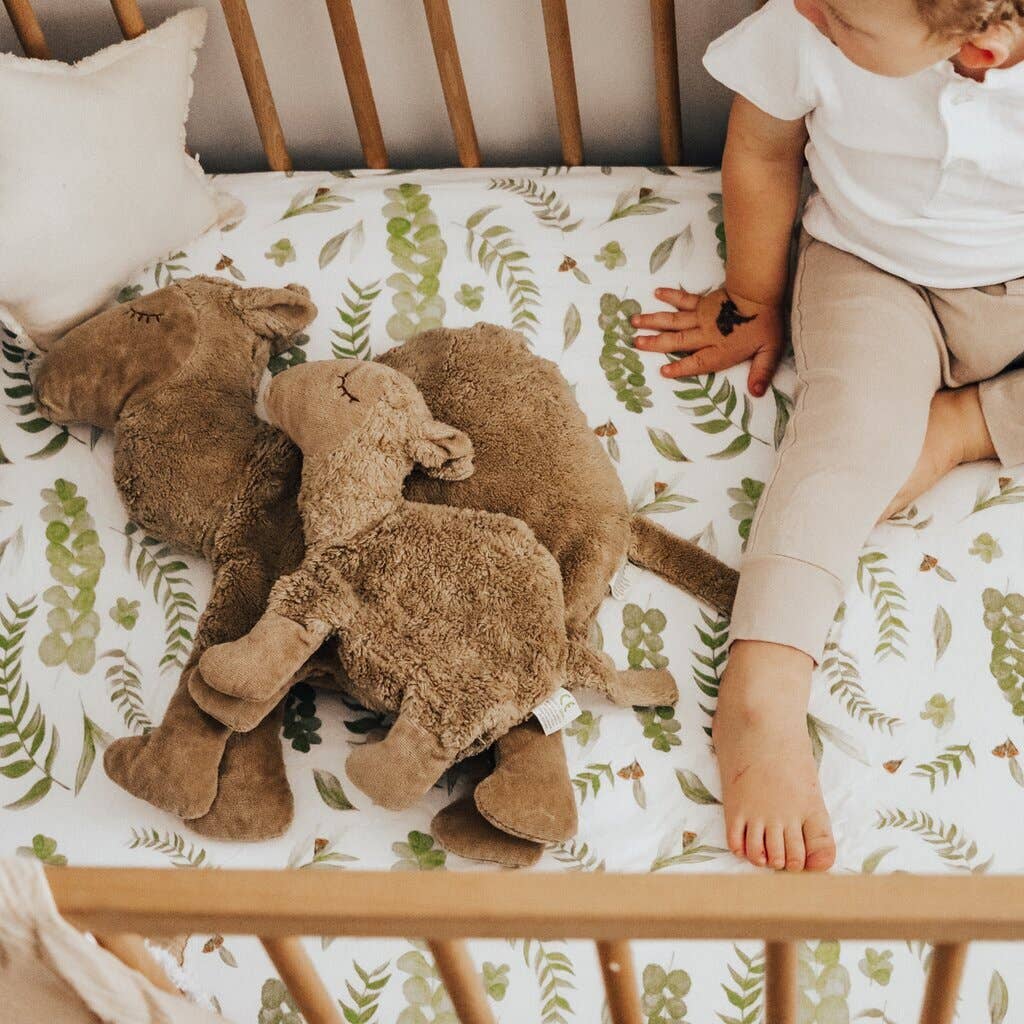 Doudou chameau petit