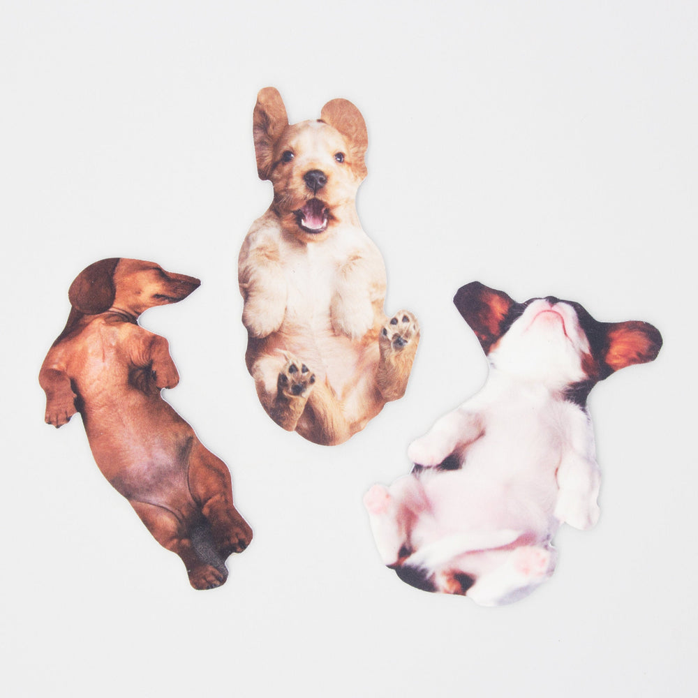 犬の爪やすり