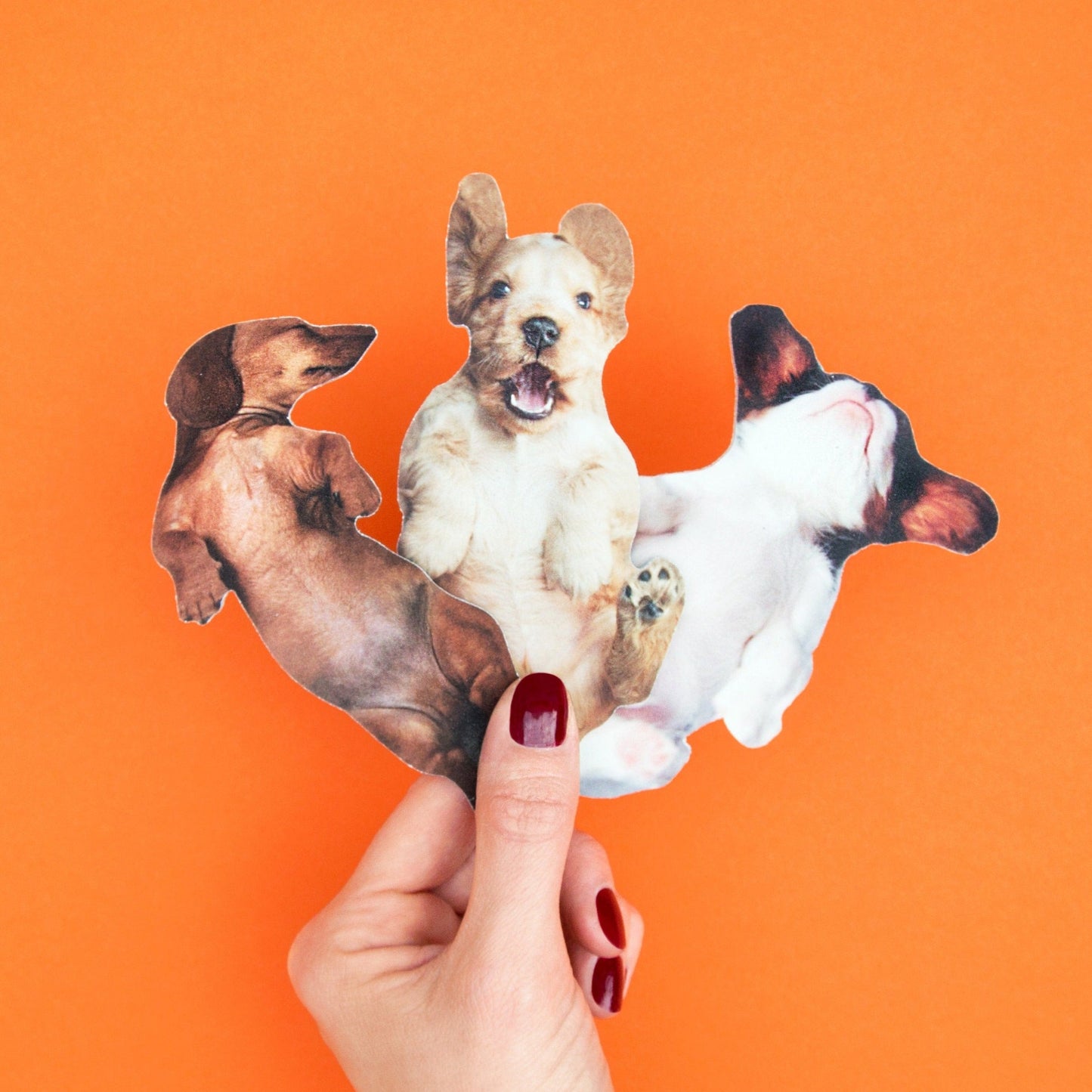 Dog Nail Files