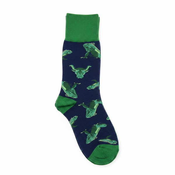 Chaussettes Iguanes