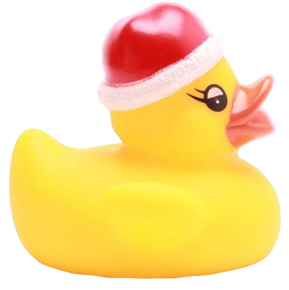 Petit Canard de Noël