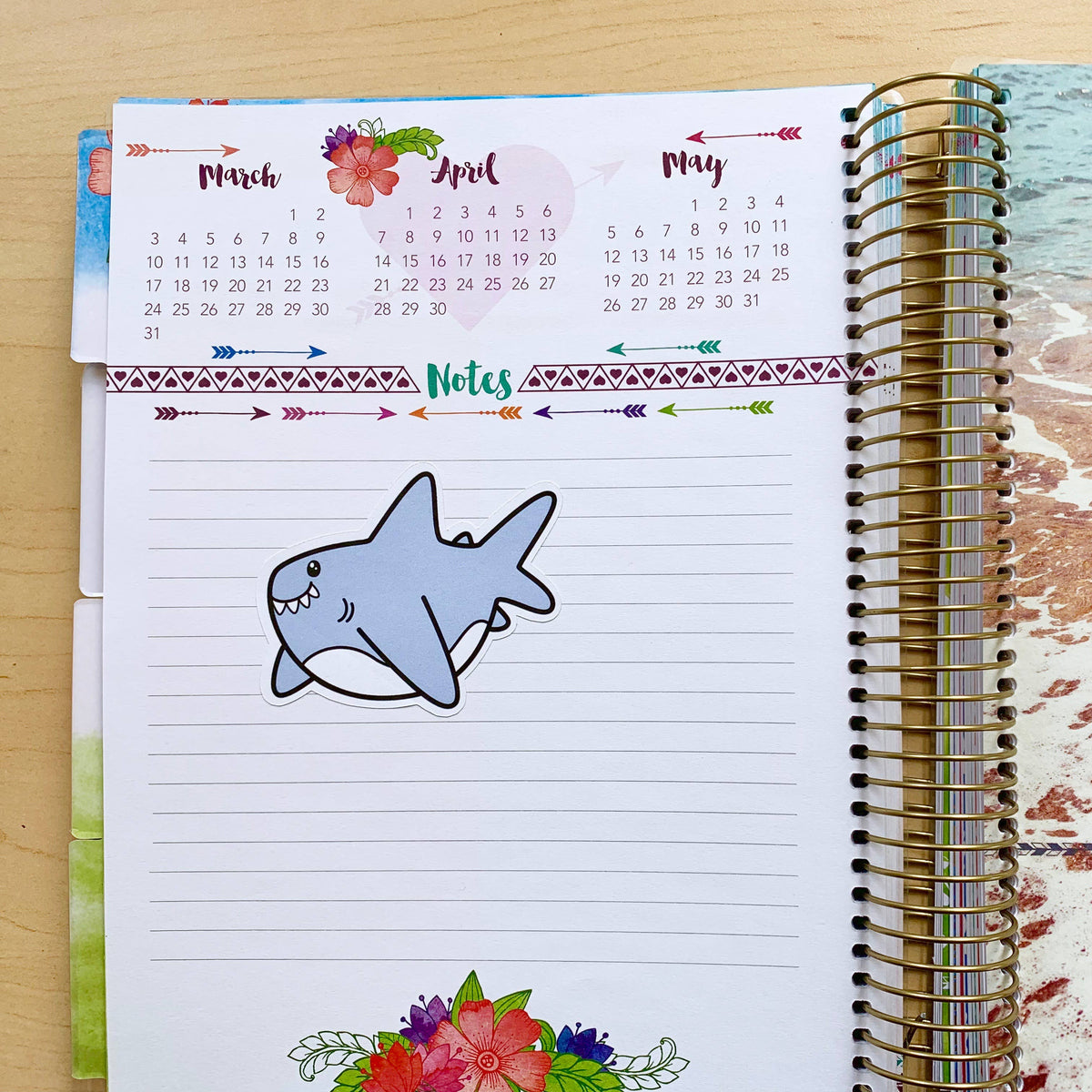 Autocollant Grand Requin Blanc