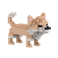 BRIXIES Chihuahua