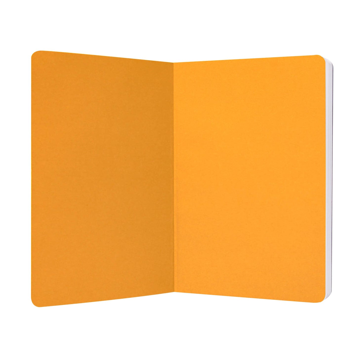 Carnet A5 souple Harry Potter - Gryffondor