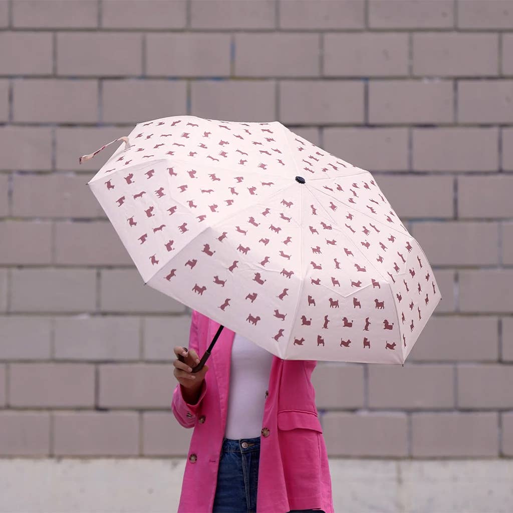 Paraguas para perros Puppymbrella
