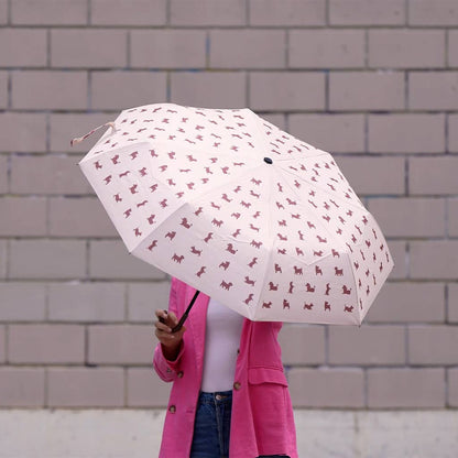 Paraguas para perros Puppymbrella