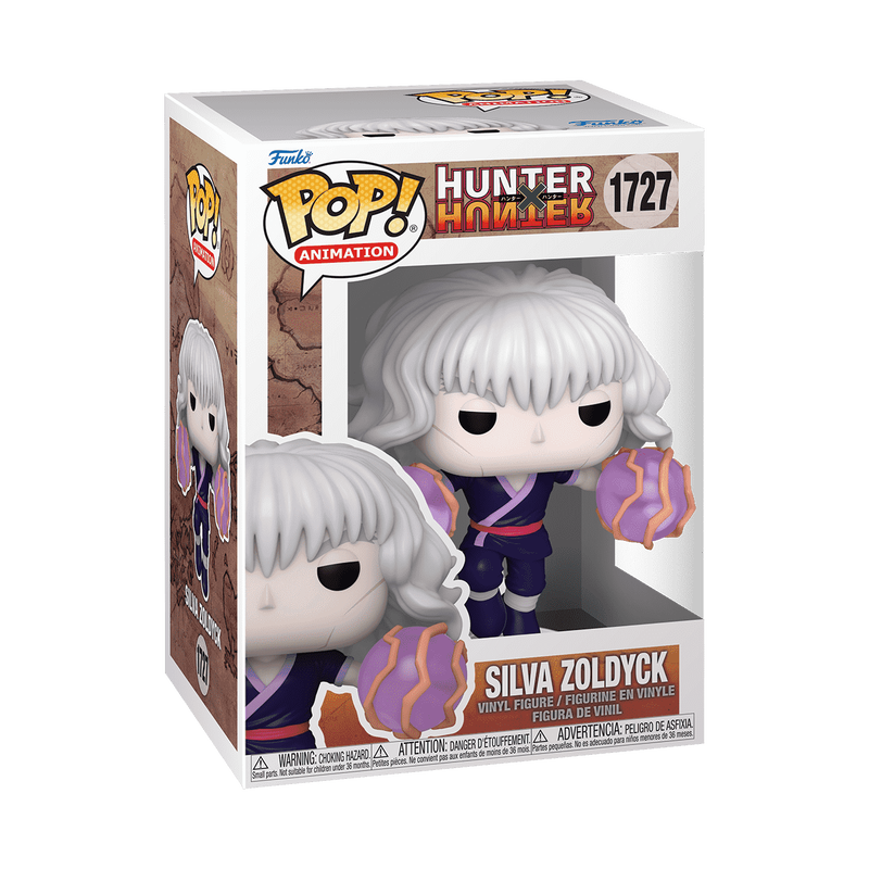 ¡Estallido! Silva Zoldyck