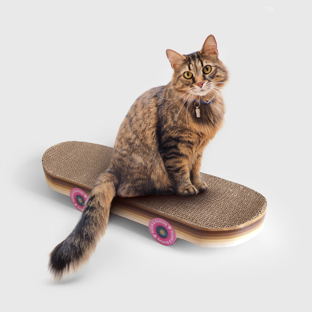 Skateboard de grattage pour chat