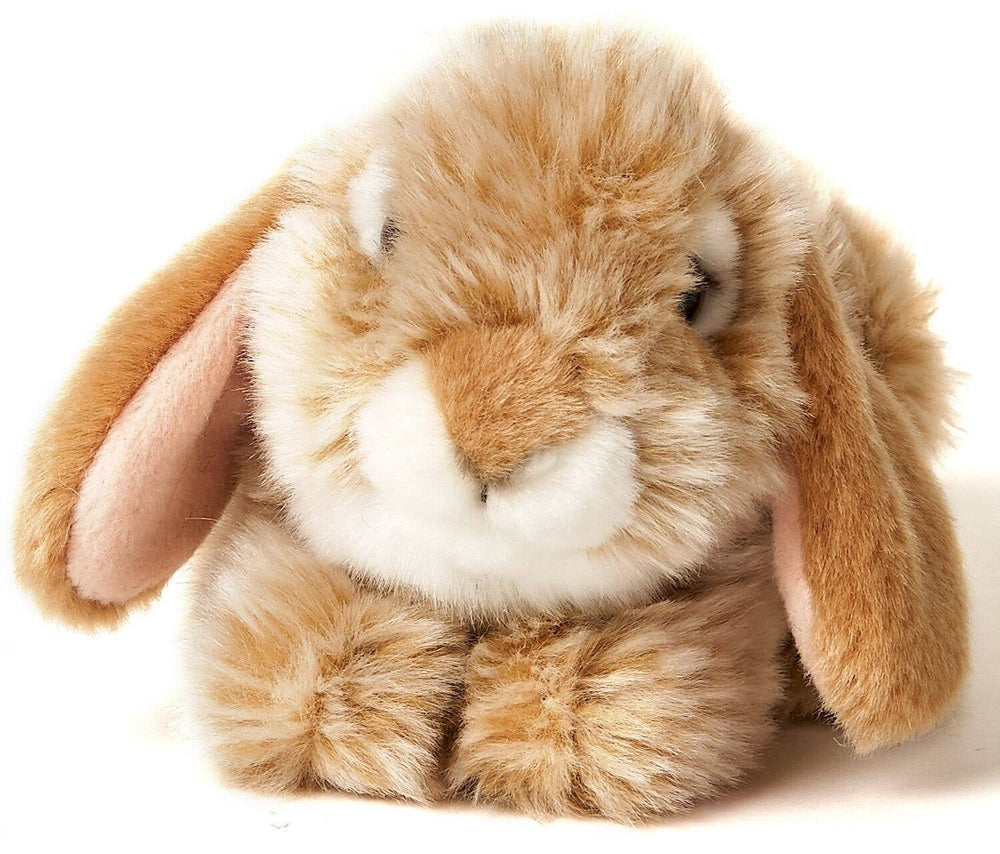 Peluche Lapin Bélier Beige Couché