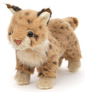 Jeune lynx debout - 24 cm (longueur) - peluche