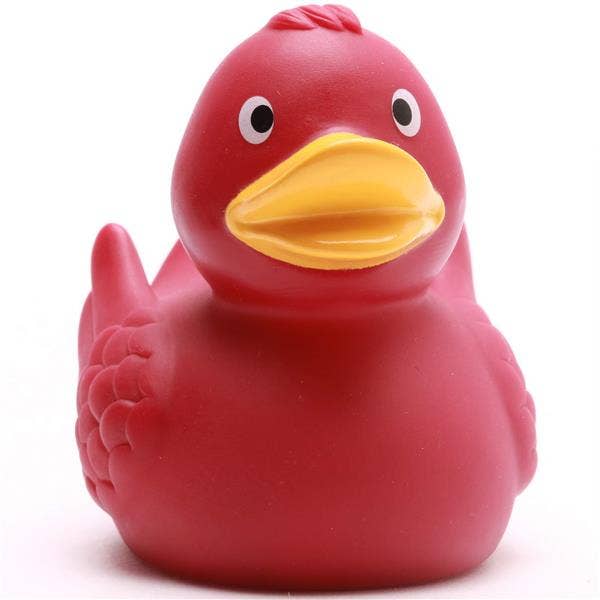 Anatra con ali Bordeaux