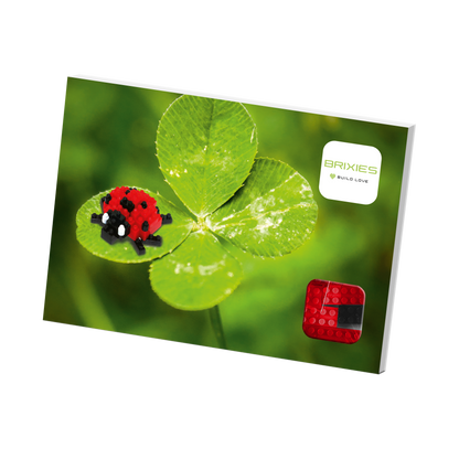 Carte postale Brixies coccinelle