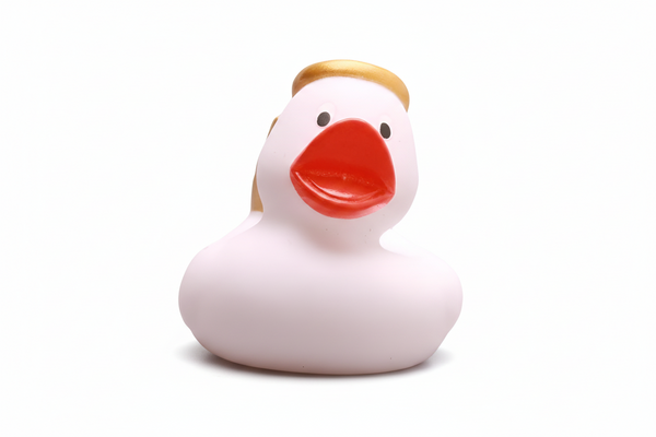 Canard Ange Blanc