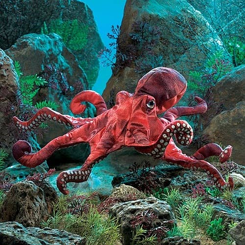 Rode octopus handpop