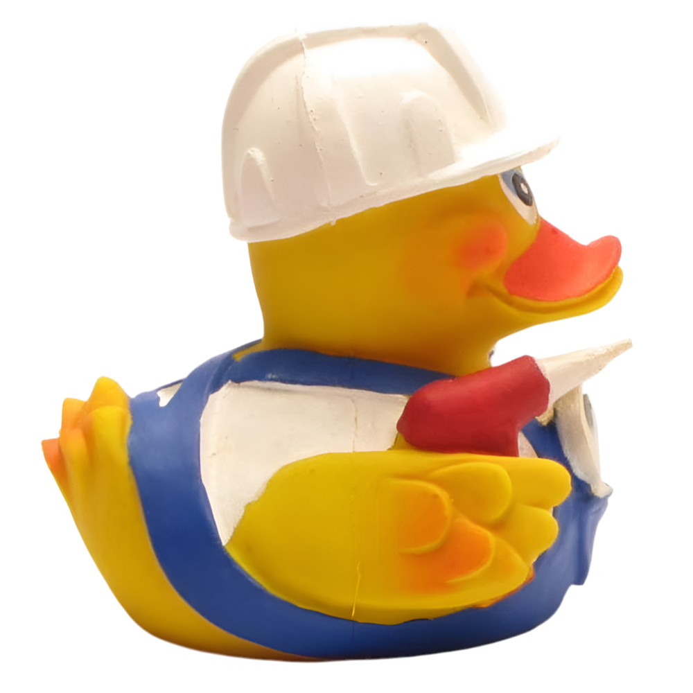 Canard Bricoleur
