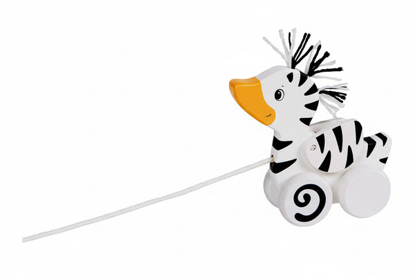 Animal à tirer - Canard Zèbre