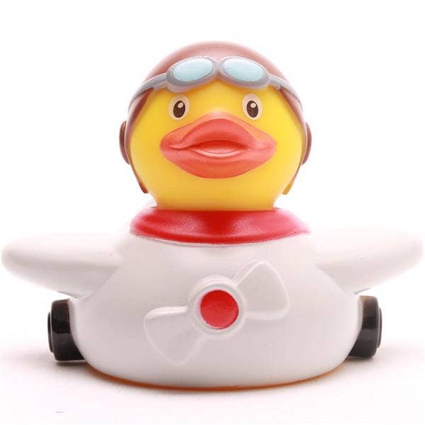 Canard Aviateur