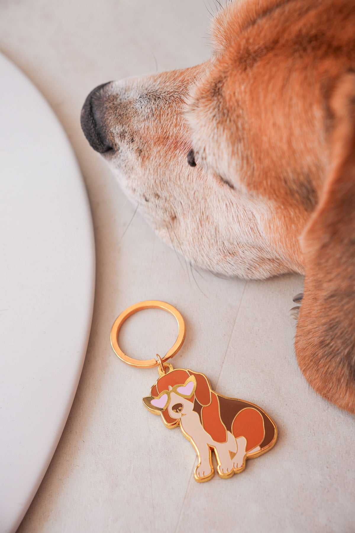 Llavero de Beagle