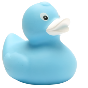 Canard Classique Bleu Ciel