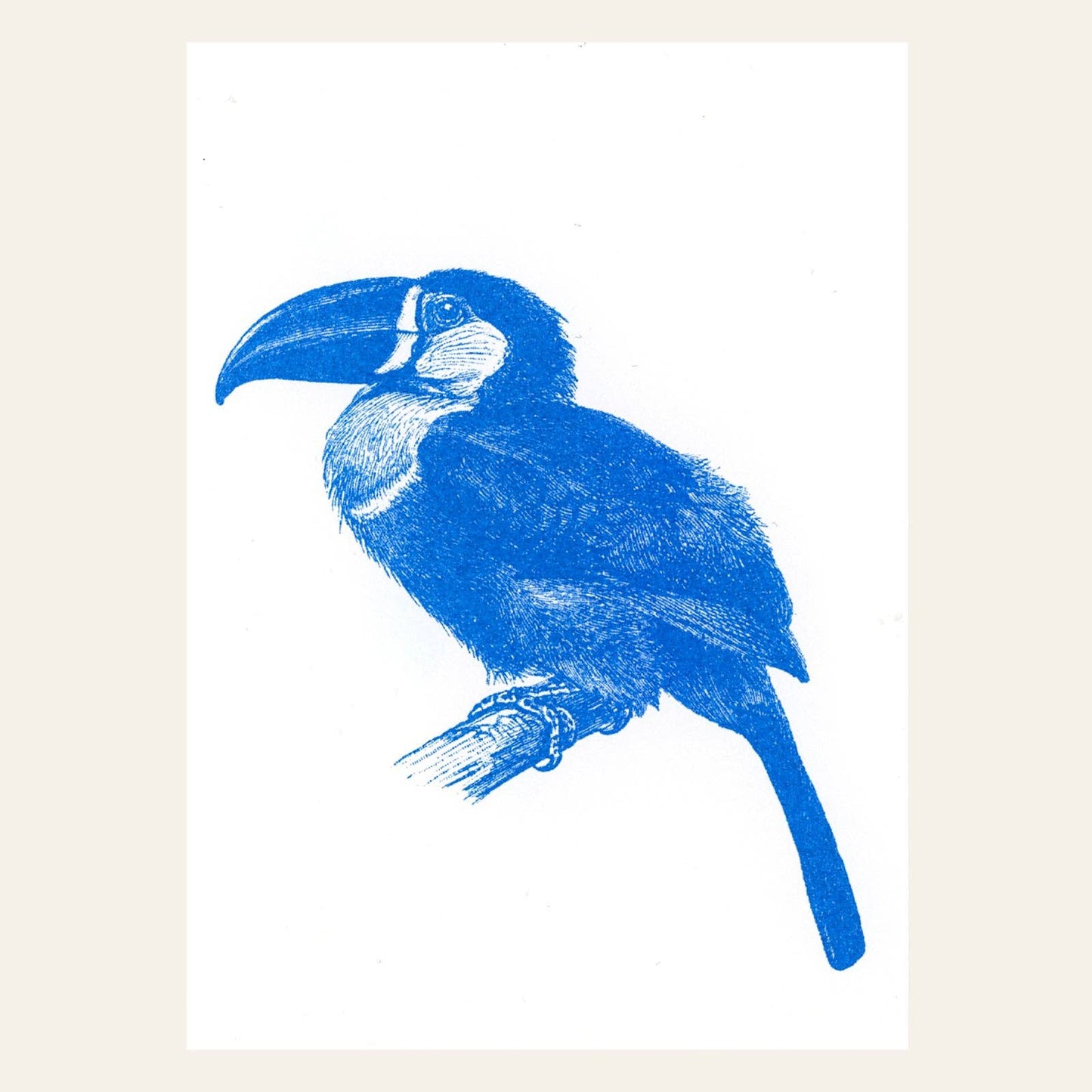 Blue Toucan Postcard