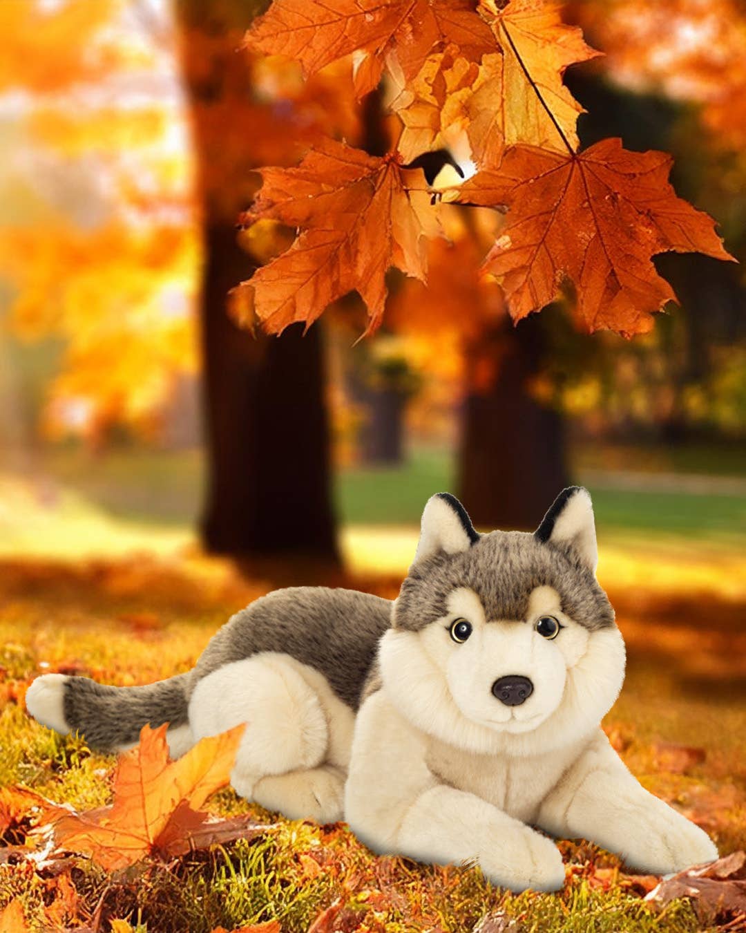 Peluche Loup couché