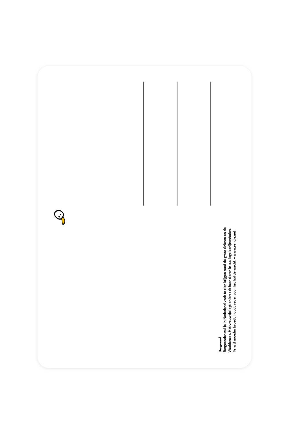 Carte postale avec Shelduck