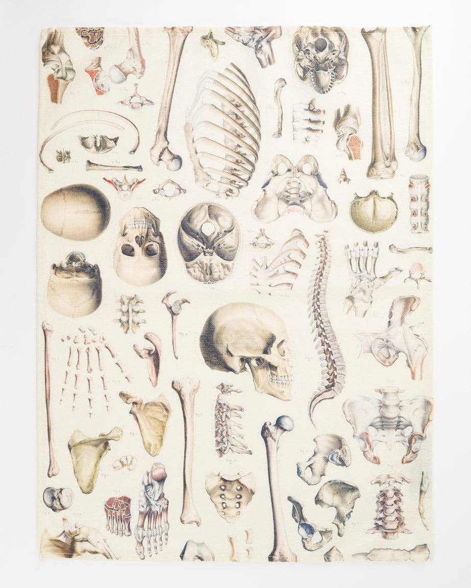 Torchon Squelette – produit scientifique Cognitive Surplus EU, vue 1