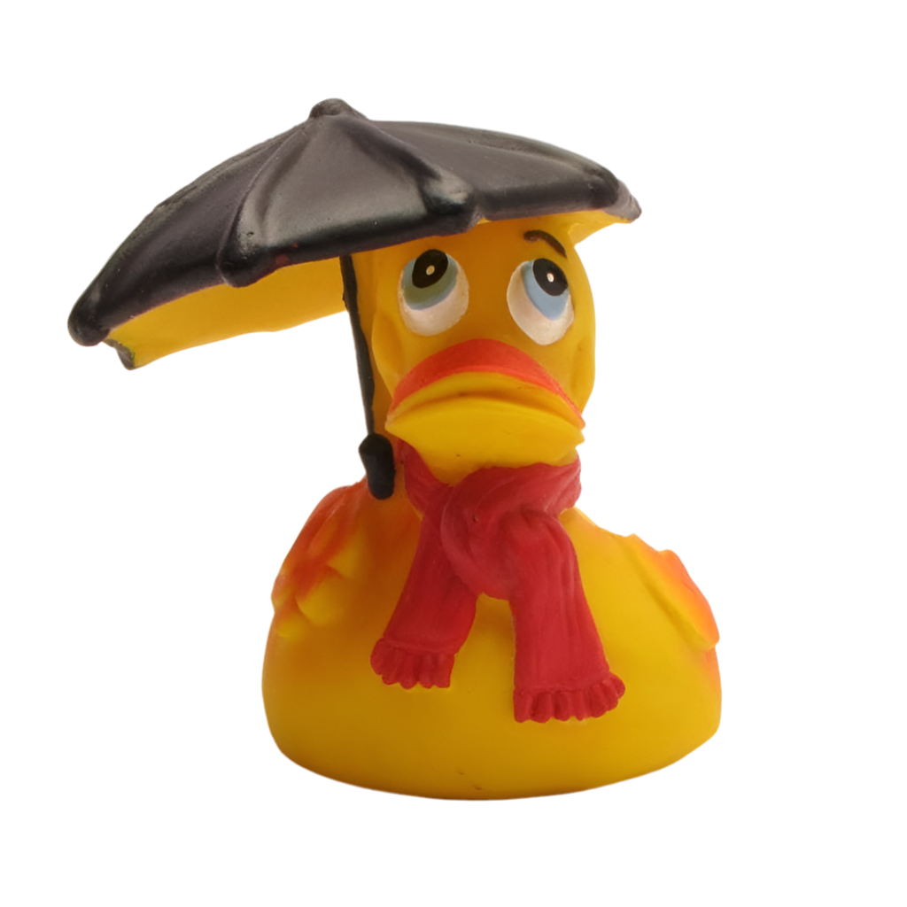 Eend Regenachtig weer